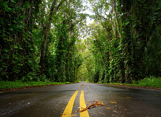 Take a round-trip drive from Līhu'e to Waimea Canyon