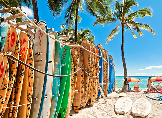 The Big Island Road Trip