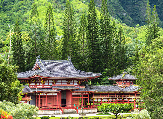 Visit the North Shore of Hawaii