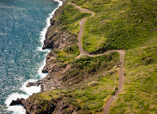 Drive the Road to Hana
