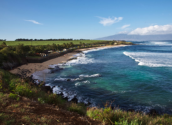 Venture to Upcountry Maui Venture to Upcountry Maui