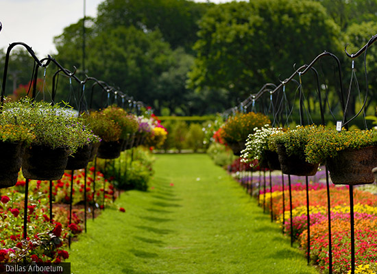 Dallas Arboretum
