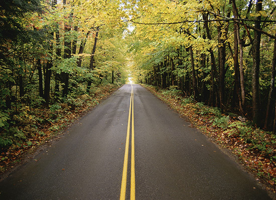 New England Fall Foliage