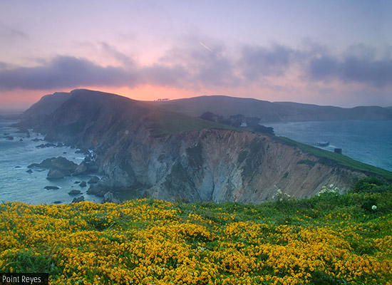 Point Reyes
