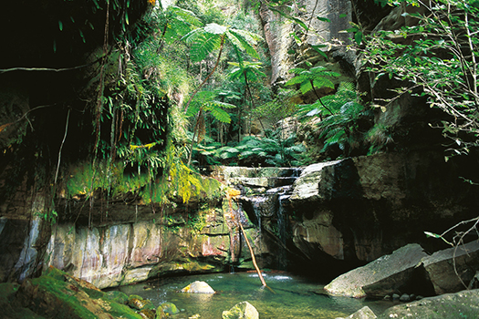 Carnarvon Gorge Carnarvon Gorge
