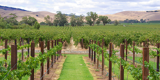Adelaide Hills Adelaide Hills