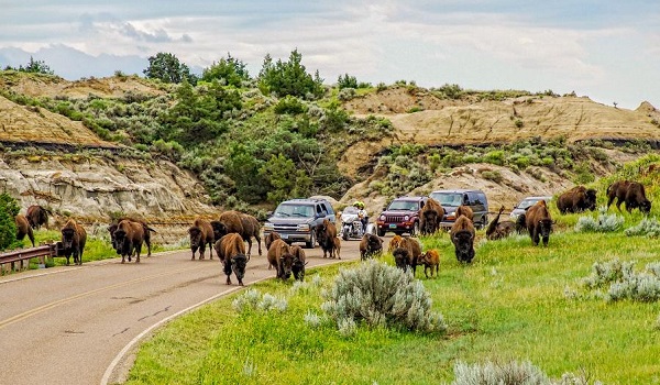 Deadwood to Medora to Bismarck Deadwood to Medora to Bismarck